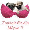 Freiheit für die Möpse