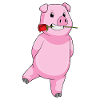 Pig Rose