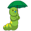 Raupe Regenschirm