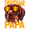 Wirehhaar Papa - drahthaar hund