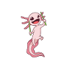 Pound Fitness - Poundolotl