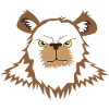 Grizzly Bear