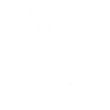 TRUST THE PROCESS