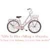 Bicycle life 🚲