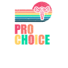 Pro choice definition