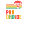 Pro choice definition