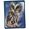 Northern owl