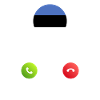 Estonia calls lusiger flags