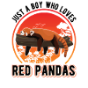 Roter Panda Junge Red Panda