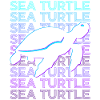 Turtle Retro