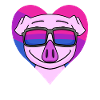 Bisexual Pig Gift
