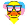Transgender Transsexual Duck Gift