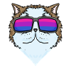 Bisexual Persian Cat Cat Gift