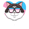 Transgender Transsexual Ragdoll Cat Gift