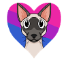 Siamese cat