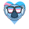 Transgender Transsexual Koala Gift
