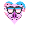 Transgender Transsexual Pig Gift