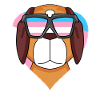 Transgender Transsexual St. Bernard Dog