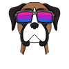 Bisexual German Boxer Dog Gift