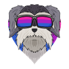Schnauzer Dog