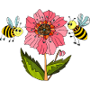 Insectes