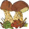 Pilze