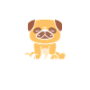 Dog Lover Chien Chien Cadeau