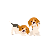 Funny Beagle Gift