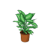 Gärtnerin Pflanzen Passion