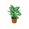 Gärtnerin aus Leidenschaft