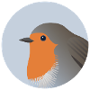 Robin oiseau Portrait impression/Illustration