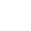 Bitbug - ver numérique
