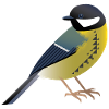 Great Bird Graphic / Design / Illustration