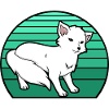 Polarfuchs