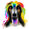 Afghanischer Windhund im Regenbogendesign