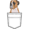 Boxer Dog In Pocket