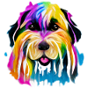 Briard in colour