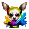 Chihuahua en couleur
