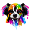 Papillon in Farbe