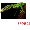 Contemplate, respect, protect