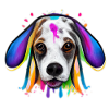 Basset-Hound in colour