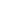 Evolution Pflasterer