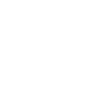 Evolution Mechatroniker