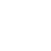 Evolution Paketbote