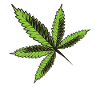 Cannabis Leaf Hemp