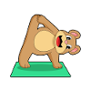 Bear at Yoga Fitness