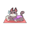 Cat at Yoga Fitness