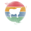 Vache