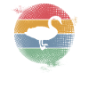 Swan