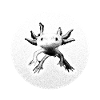 Axolotl